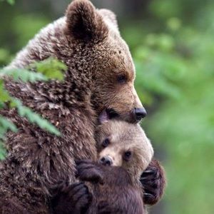 Meet your Posher, Cindi